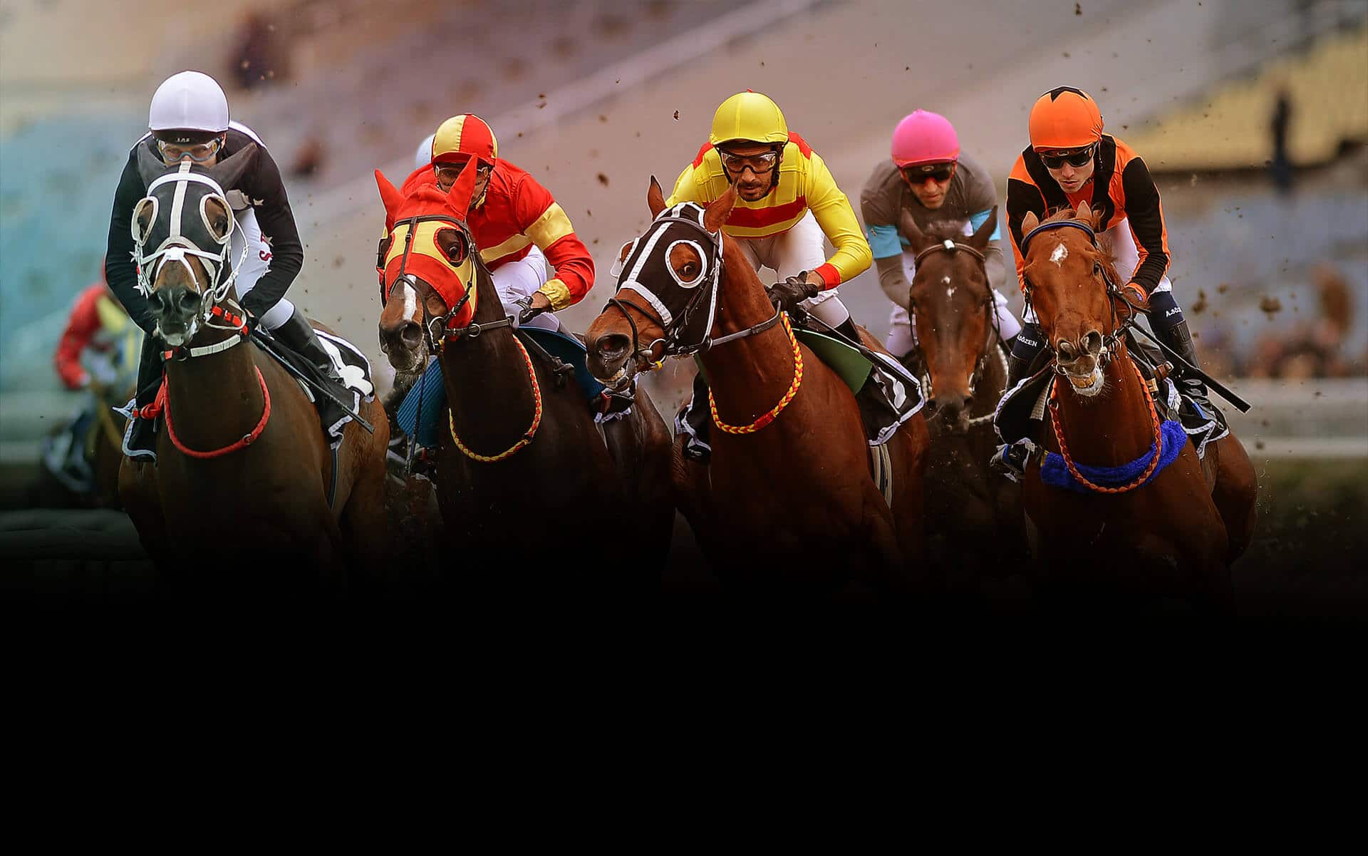 At yarışı tahminleri October 2025