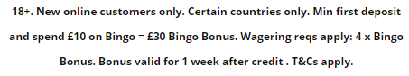 Gala Bingo terms